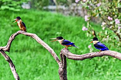 英国周榜：《死亡循环》销量冠军被《马车8》夺下